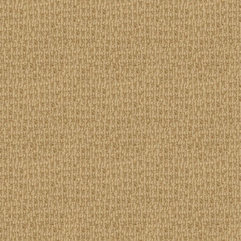 Hudson Valley carpet by Masland