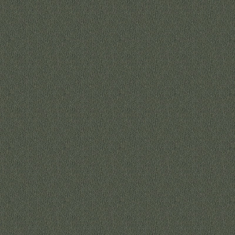Panache carpet by Masland