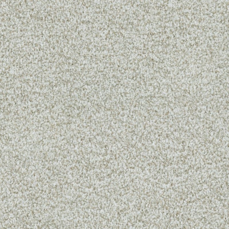 St. Augustine carpet by Masland