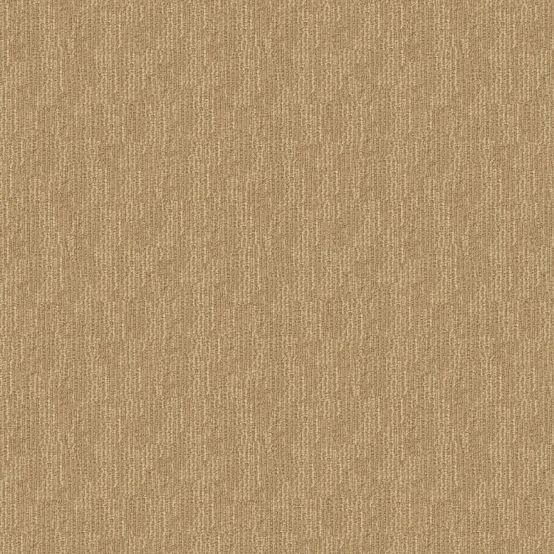Belmond carpet by Masland