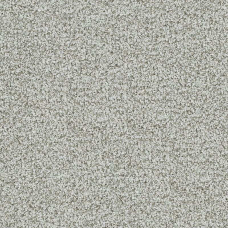 St. Augustine carpet by Masland