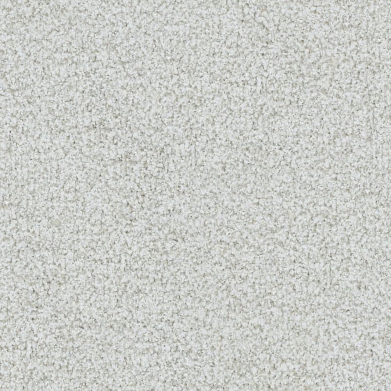 St. Augustine carpet by Masland