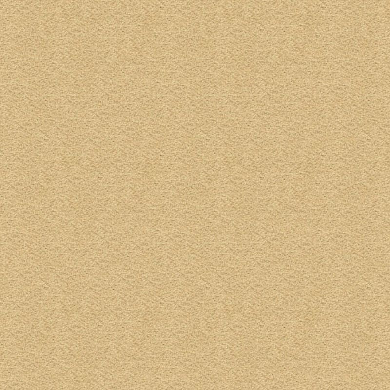 Ravishing carpet by Masland
