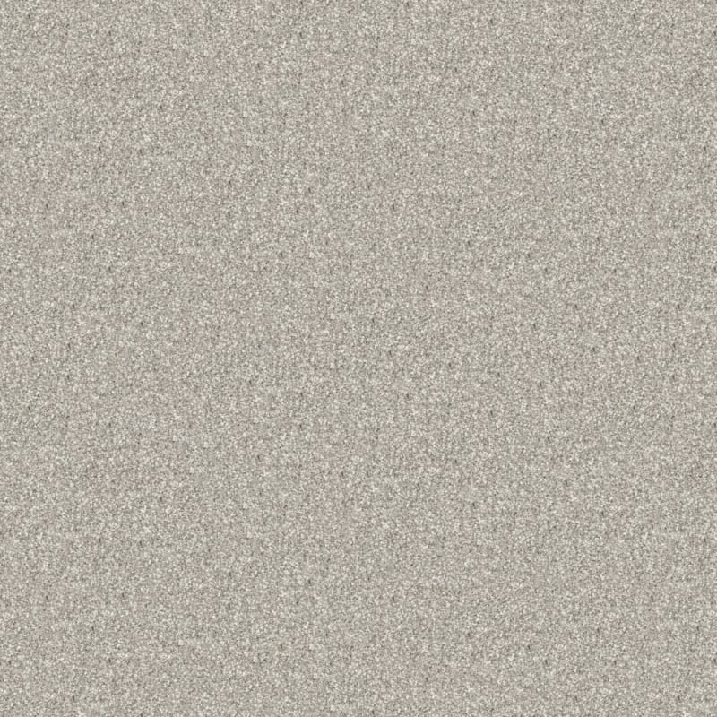 Tracker carpet by Masland