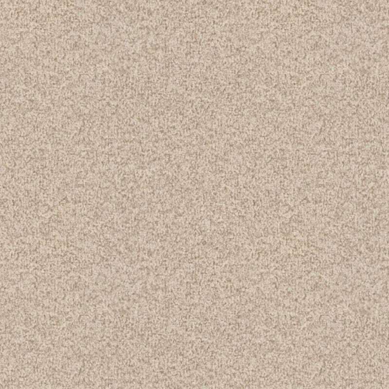 Santa Rosa carpet by Masland
