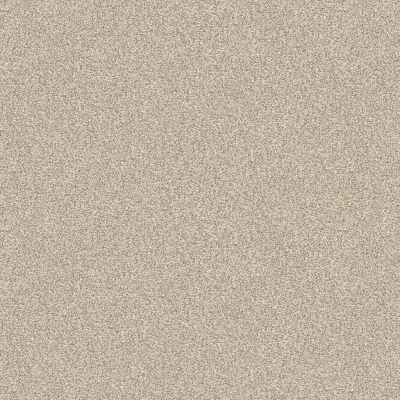 Tracker carpet by Masland