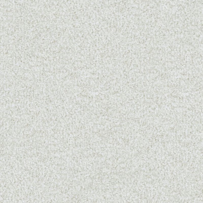 St. Augustine carpet by Masland