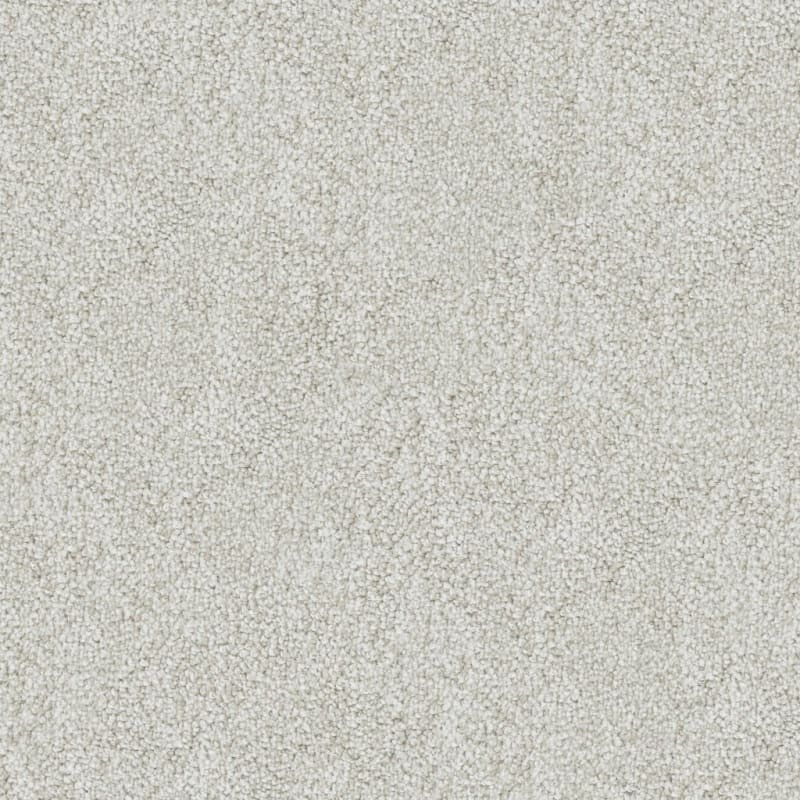 Buena Vida carpet by Masland