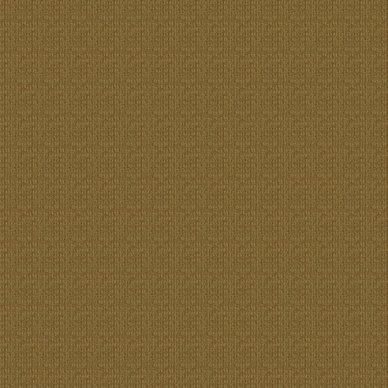 Sisaltex carpet by Masland