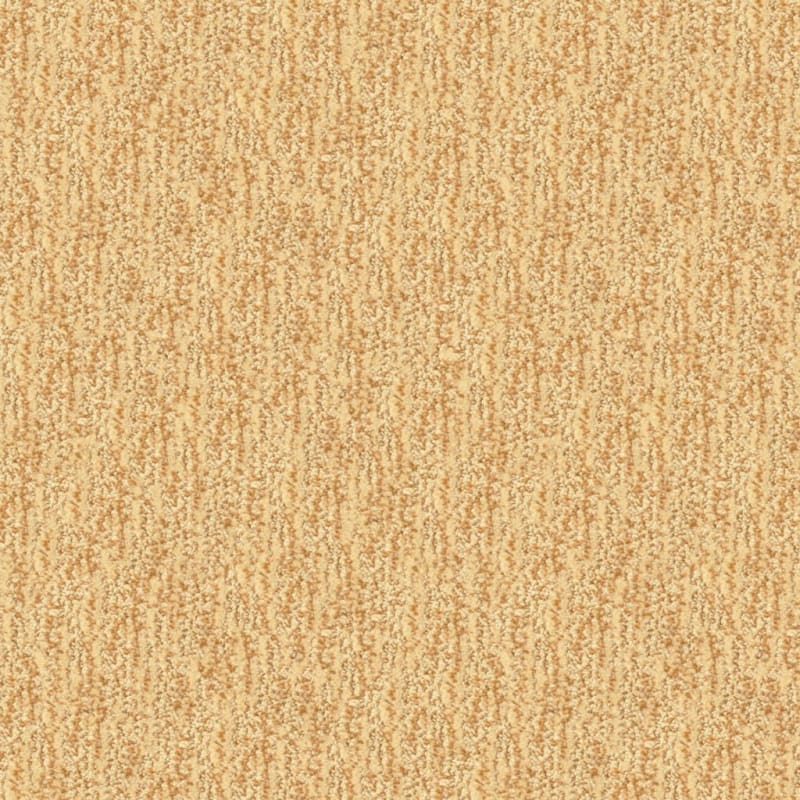 Mesa Verde carpet by Masland