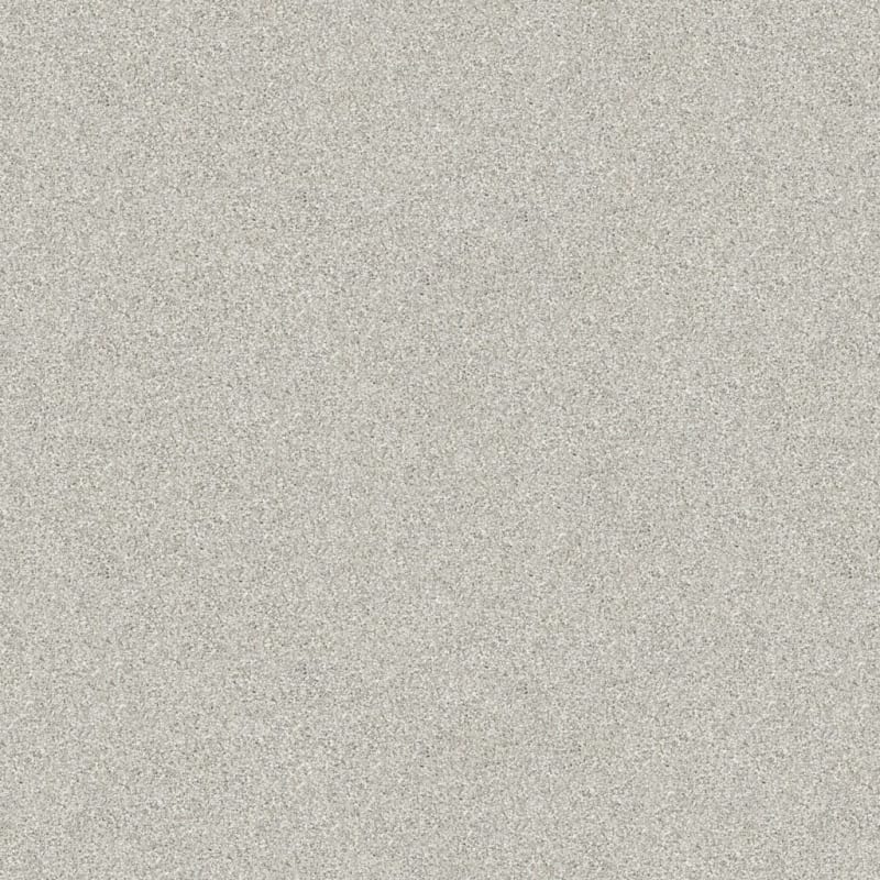 Tracker carpet by Masland