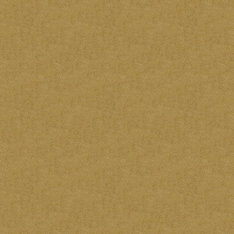 Embrace carpet by Masland