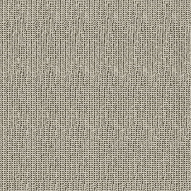 Tresor carpet by Masland