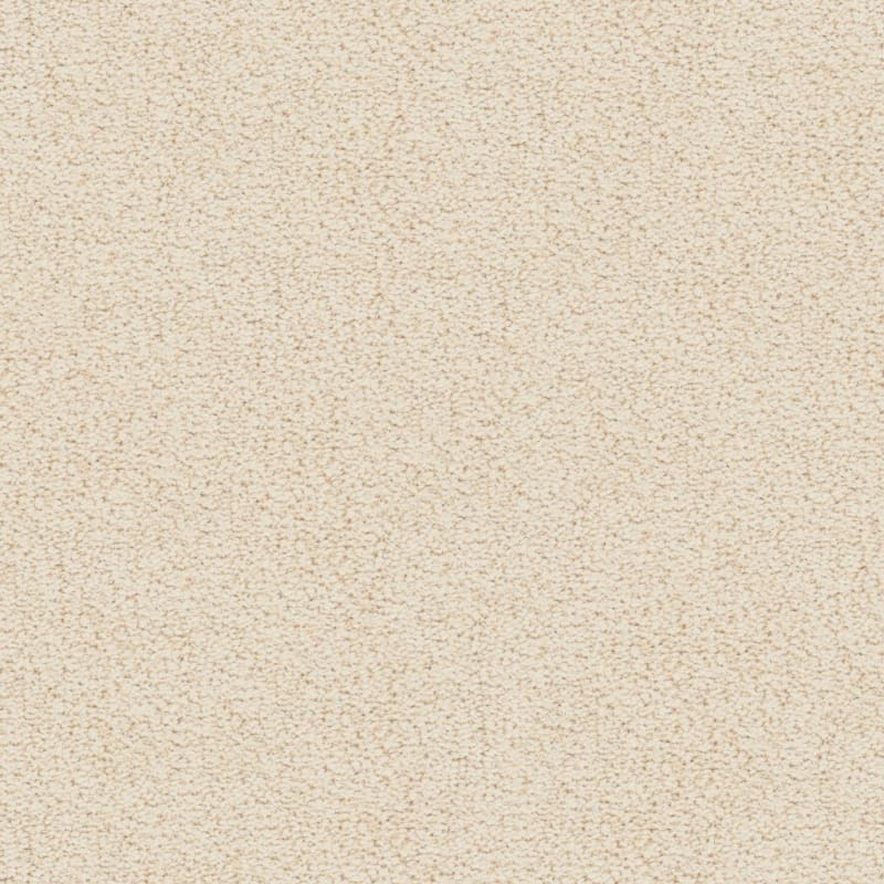Marina Del Mar carpet by Masland