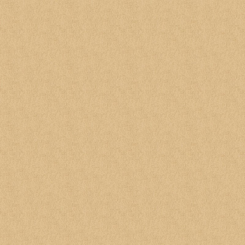 Miami carpet by Masland