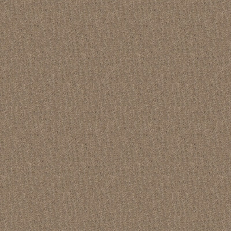 Nature'S Essence carpet by Masland