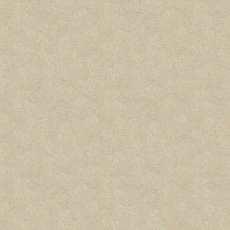 Embrace carpet by Masland