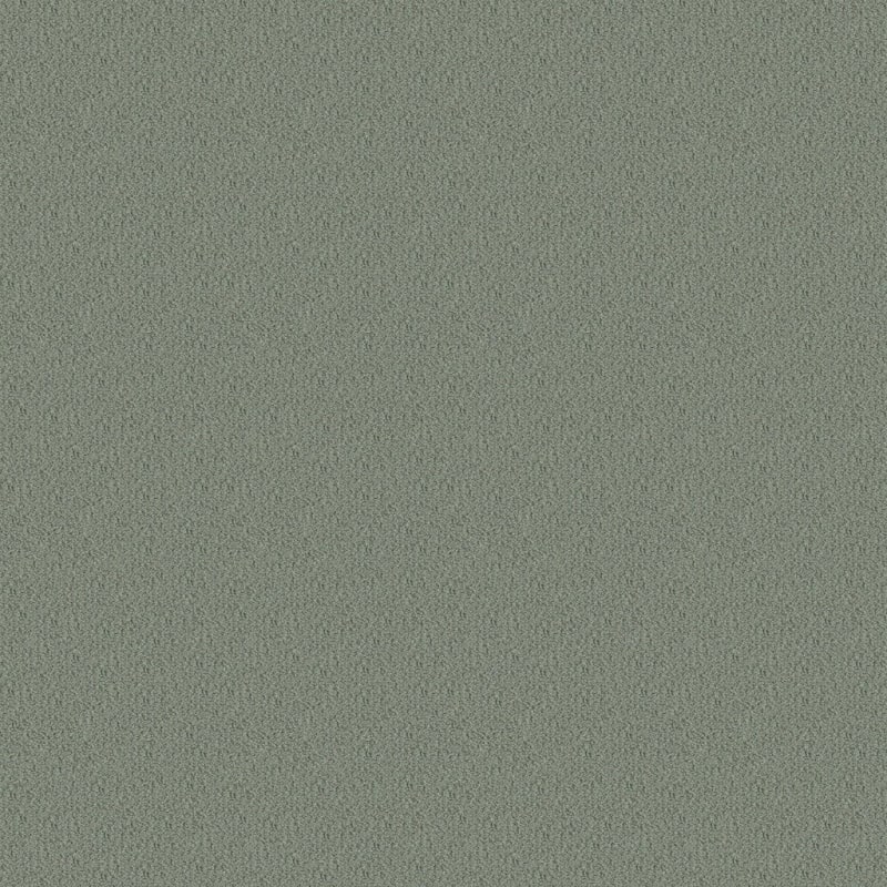 Panache carpet by Masland
