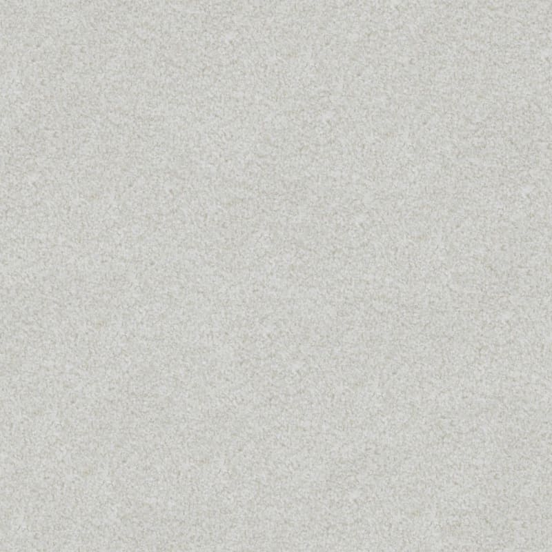 Boca Raton carpet by Masland