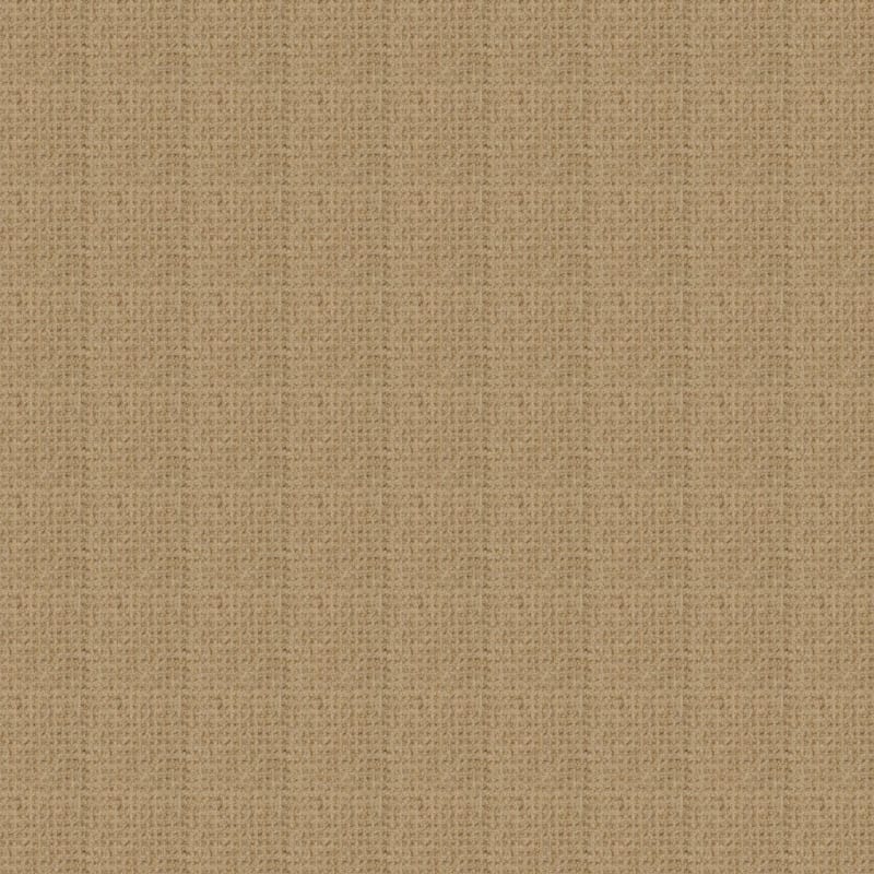 Etchings carpet by Masland