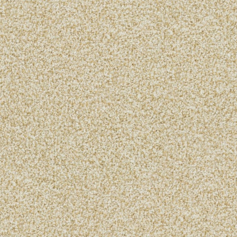 St. Augustine carpet by Masland