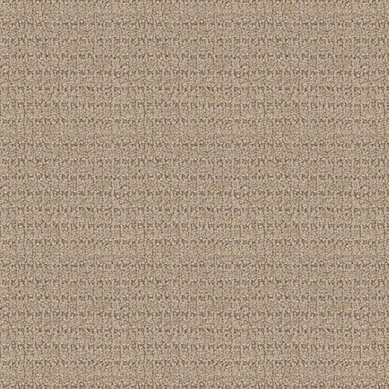 Defined carpet by Masland