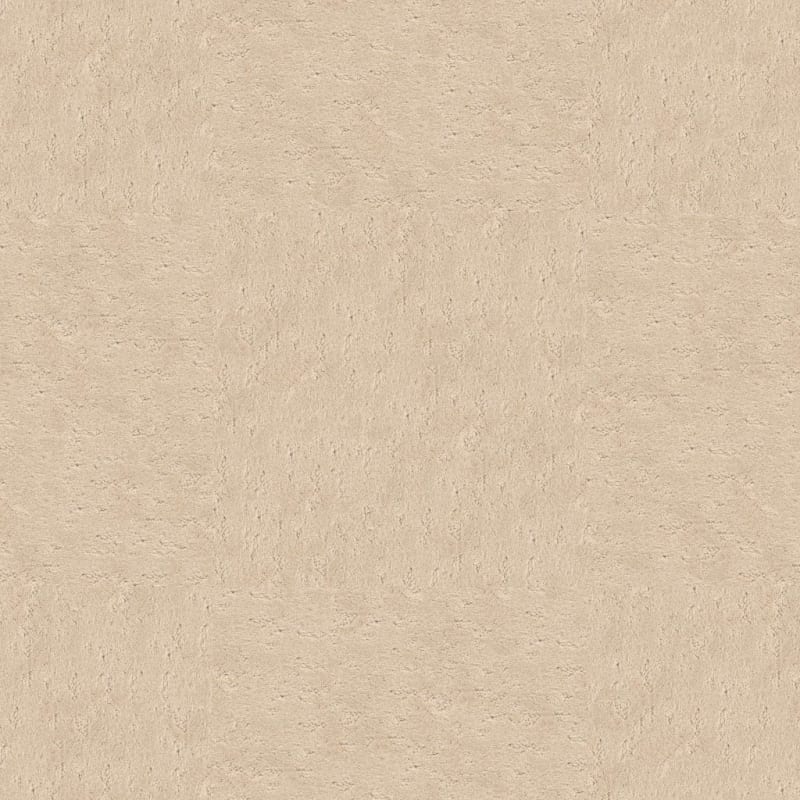Classic Demeanor carpet by Dixie Home