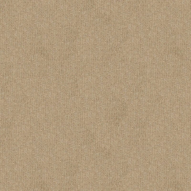 Dublin carpet by Masland