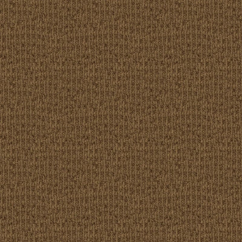 Hudson Valley carpet by Masland