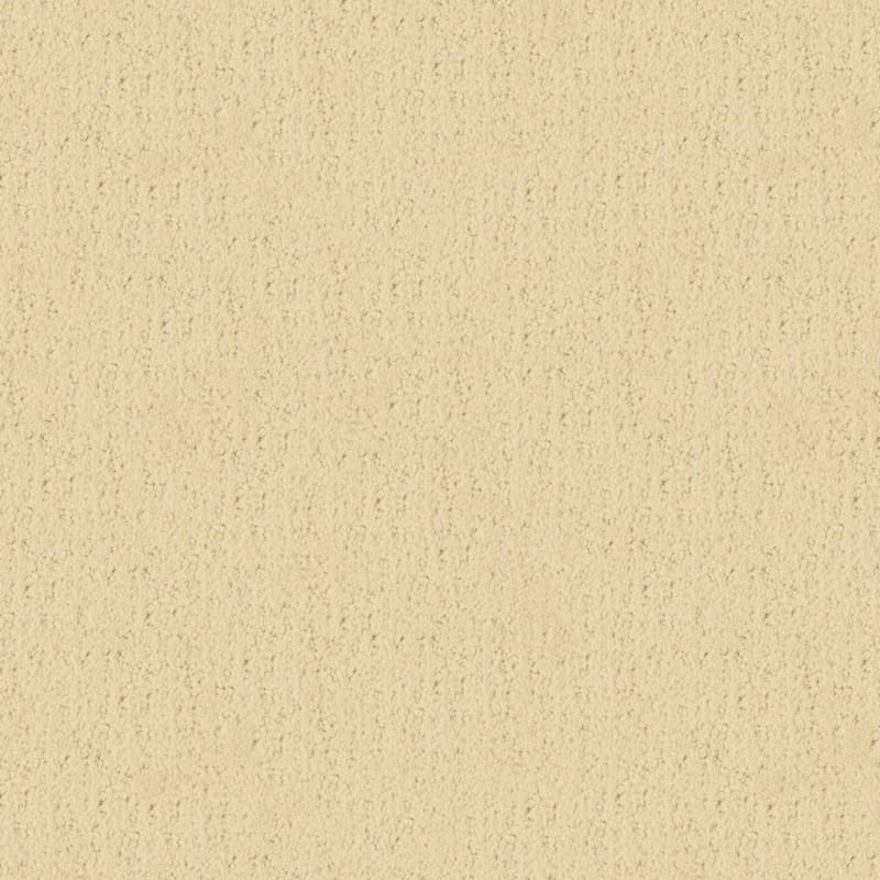 Santa Barbara carpet by Masland