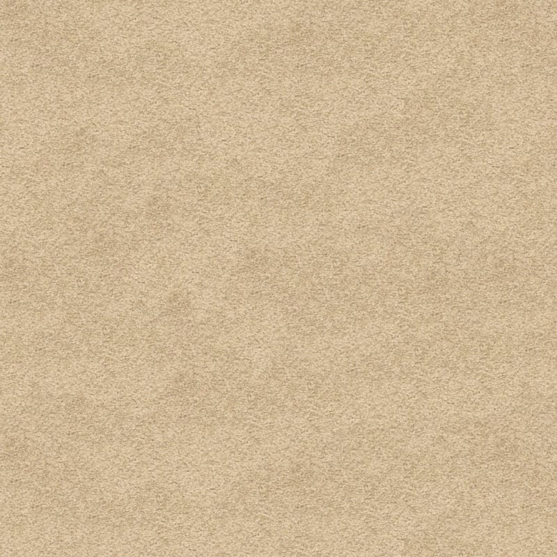 Knockout carpet by Masland