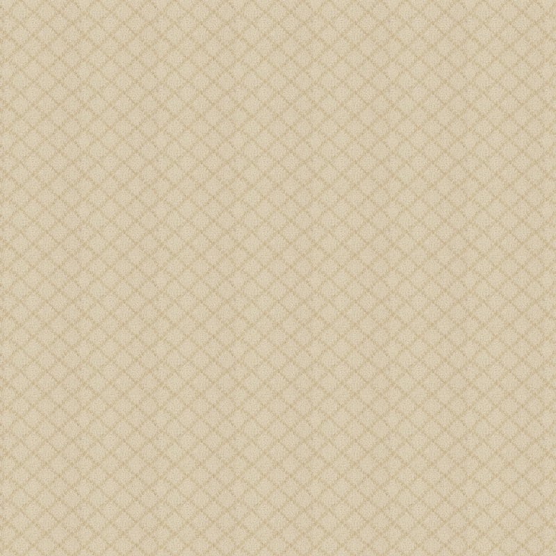 Charmant carpet by Masland