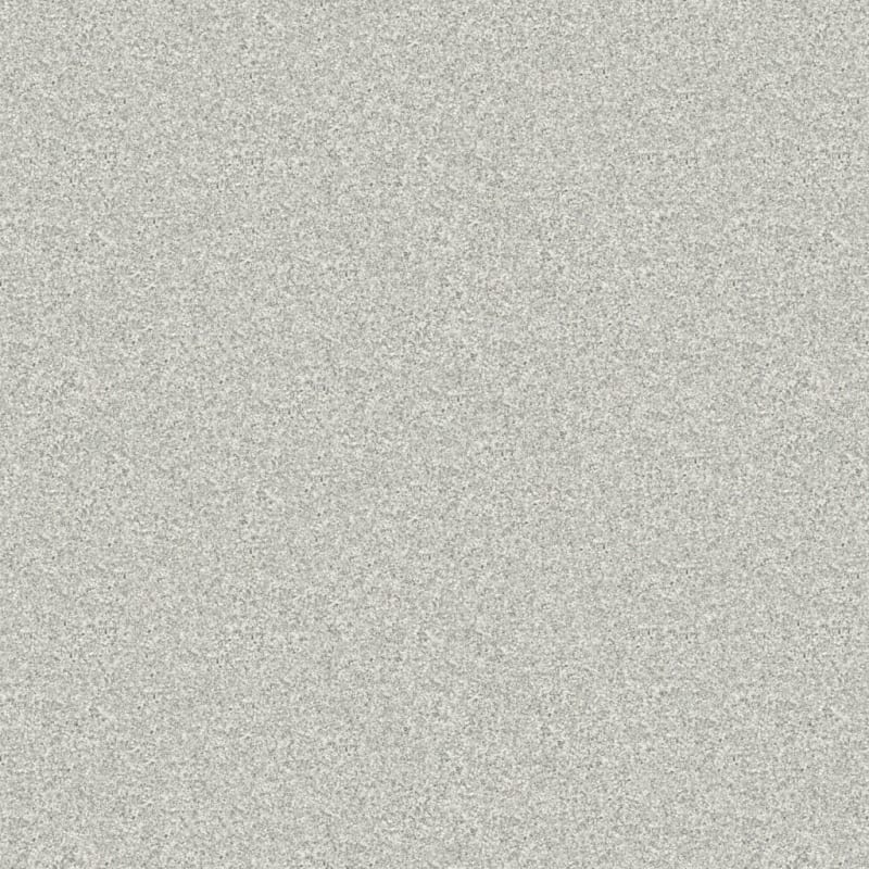 Tracker carpet by Masland