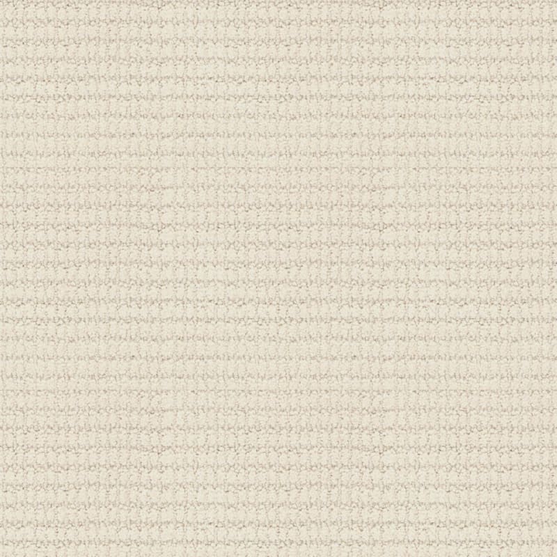 Defined carpet by Masland
