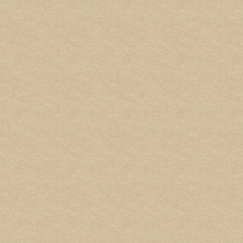 Miami carpet by Masland