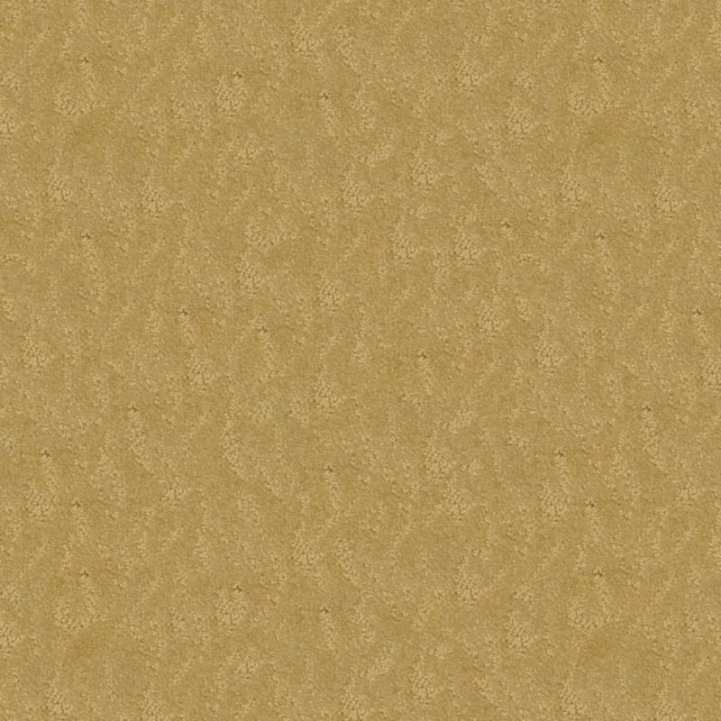 True Luxury carpet by Masland