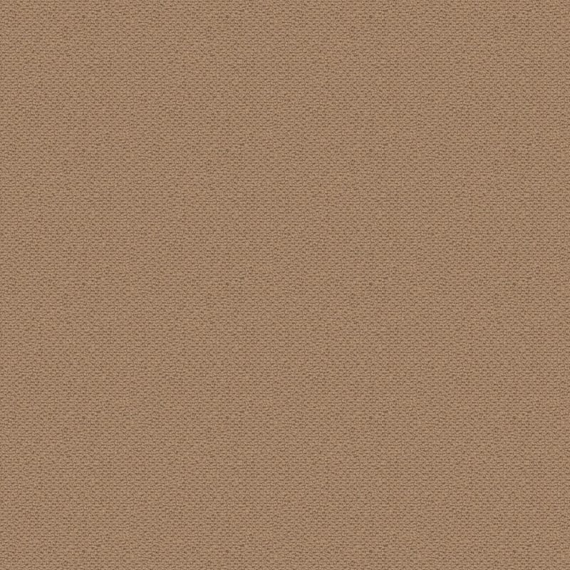Beachfront carpet by Masland