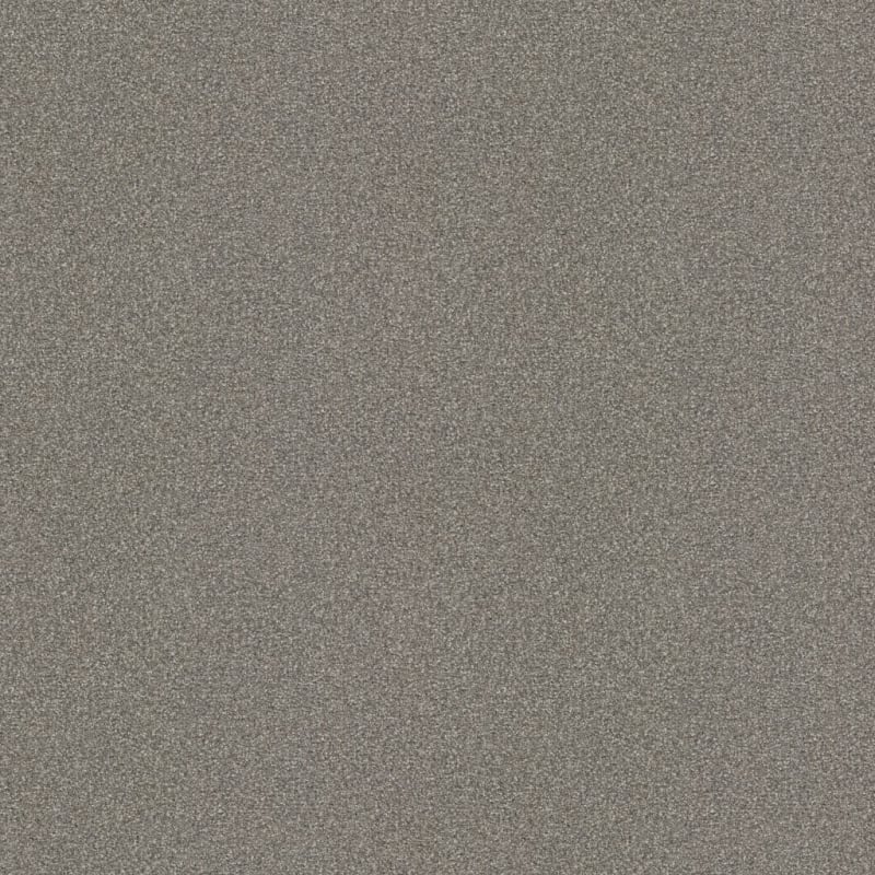 Hunter carpet by Masland