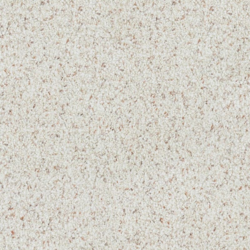 St. Augustine carpet by Masland