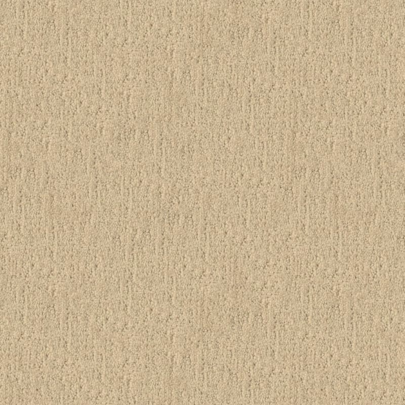 Santa Barbara carpet by Masland