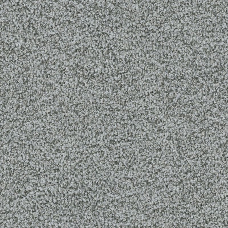 St. Augustine carpet by Masland