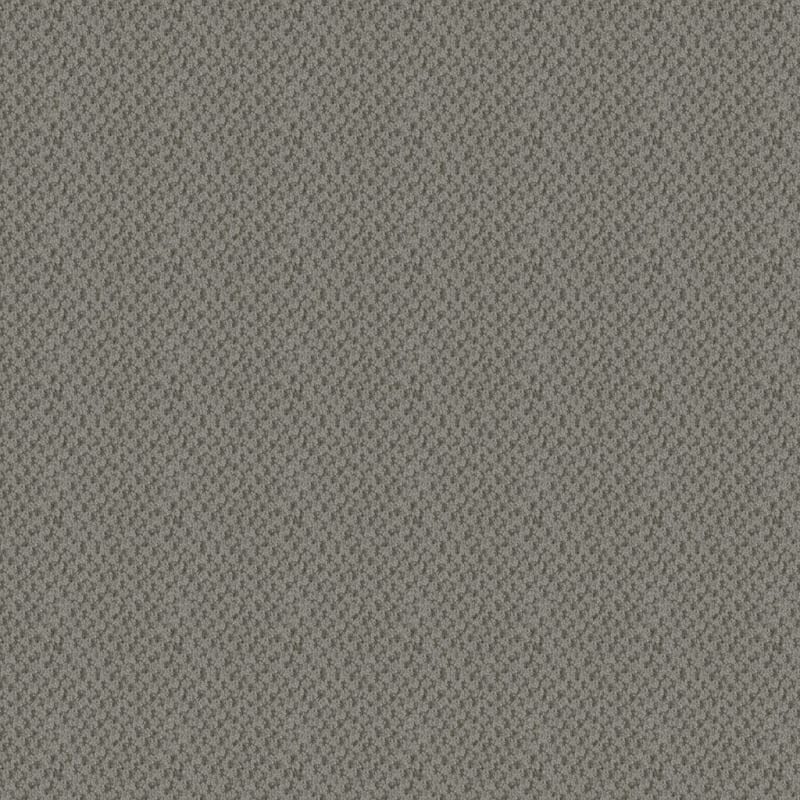 Seurat carpet by Masland