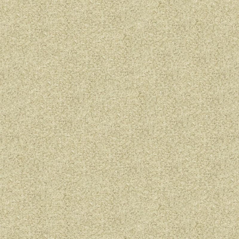 Opalesque carpet by Masland