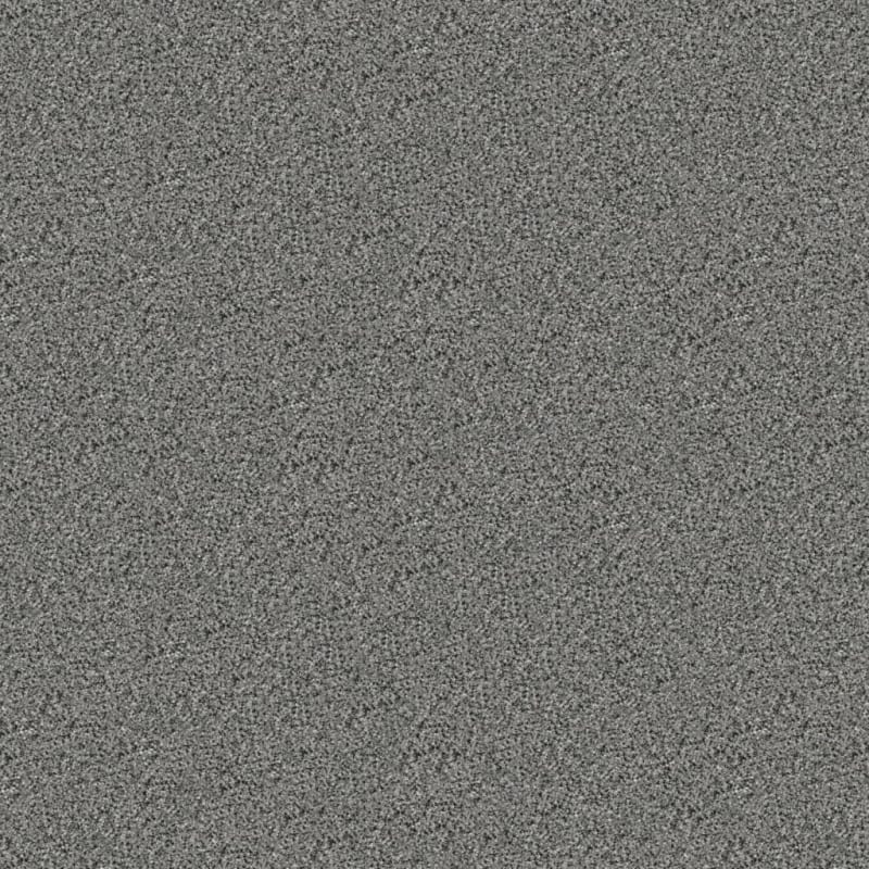 Tracker carpet by Masland