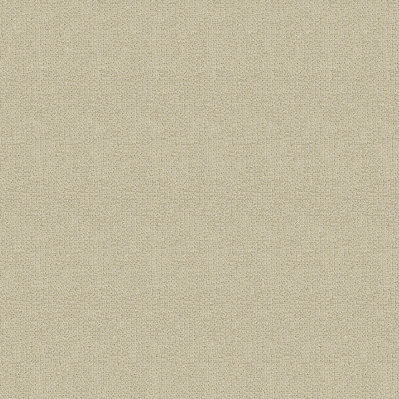 Tresor carpet by Masland
