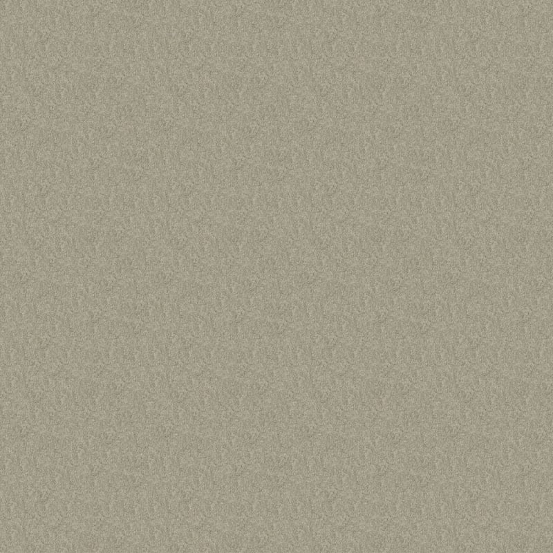 Key West carpet by Masland