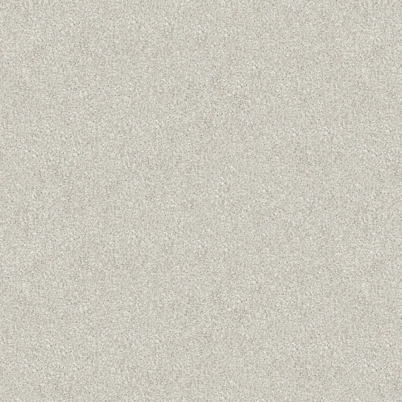 Tracker carpet by Masland