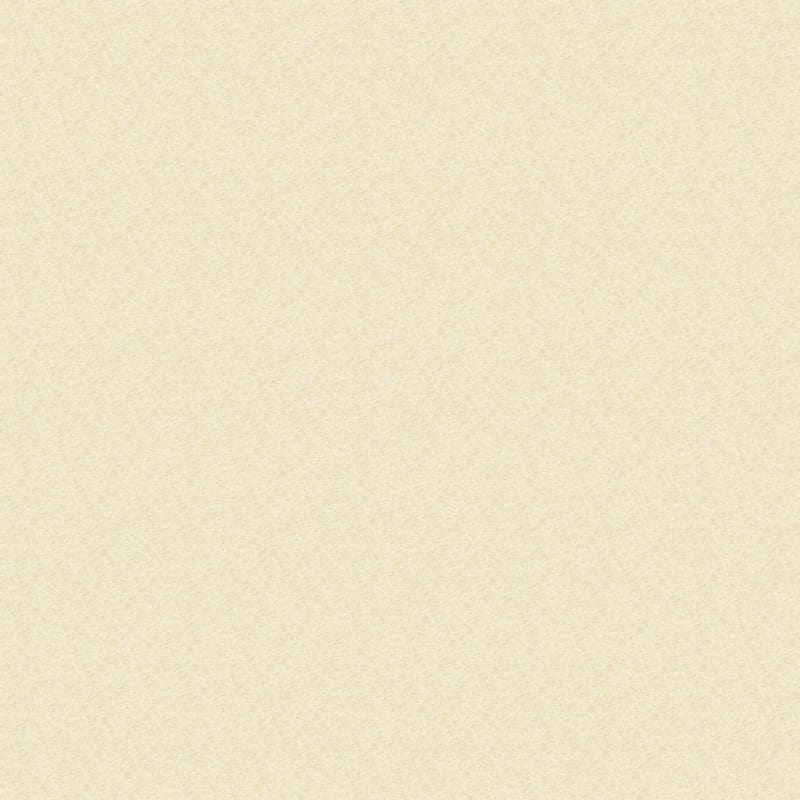 Morgan Bay carpet by Masland
