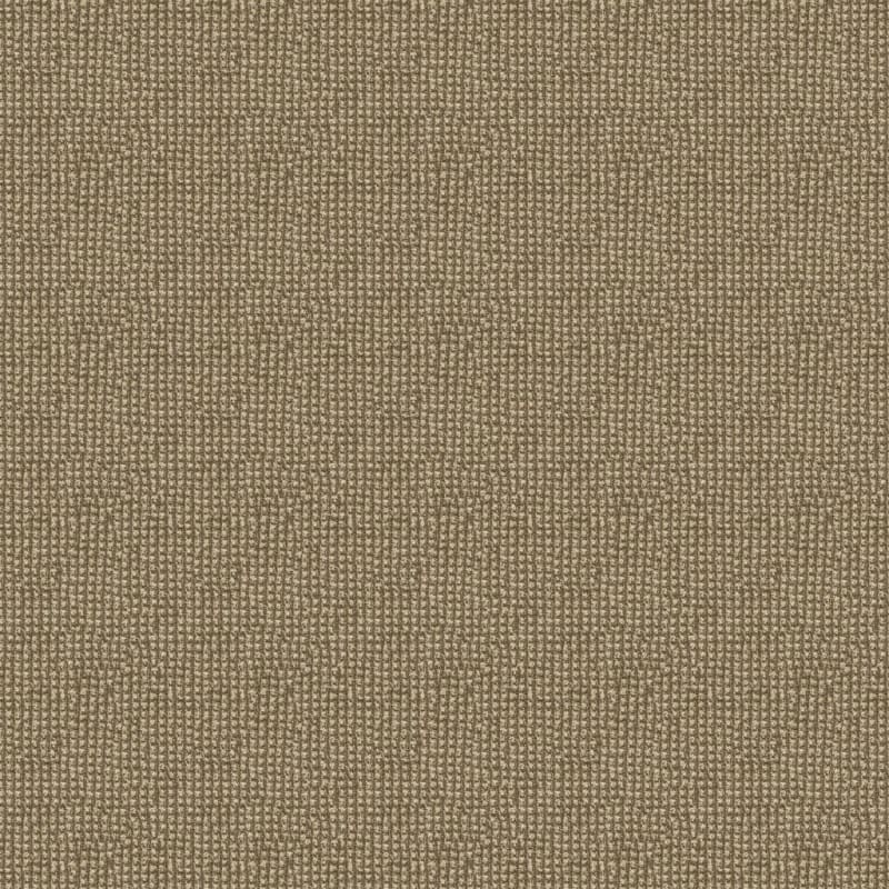 Alpha carpet by Masland