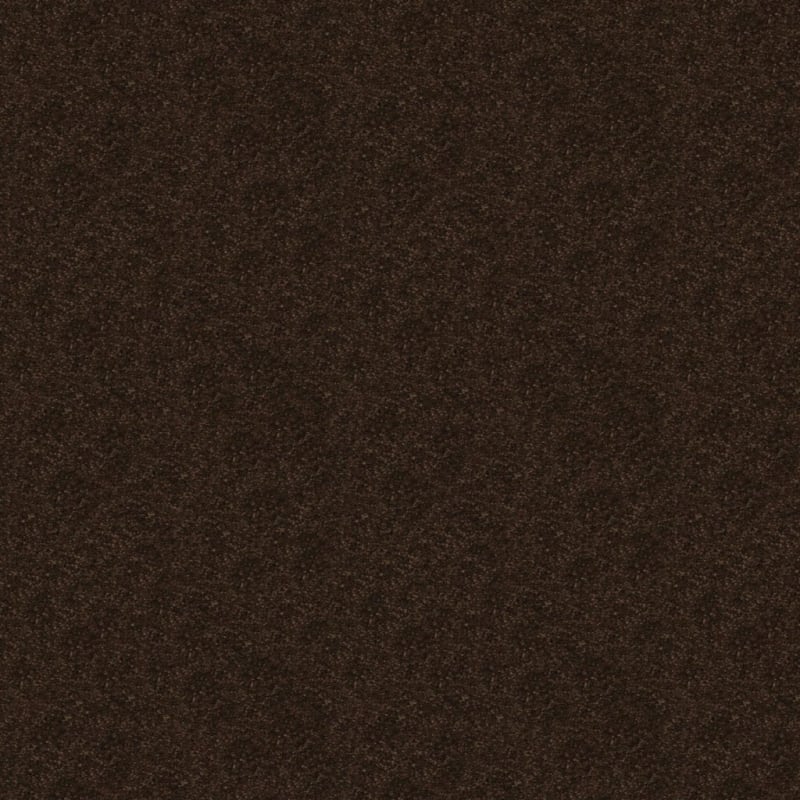 Embrace carpet by Masland